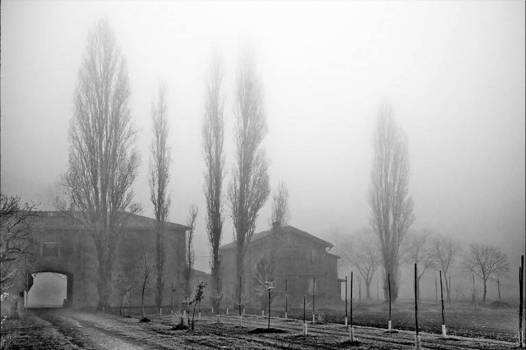 MG_0019-bordo